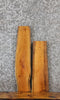 Thumbnail for 2- Live Edge Sycamore Charcuterie Board/Taxidermy Mount Slabs 8333-8334