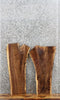 Thumbnail for 2- Black Walnut Live Edge Taxidermy Slab/End Table 8343-8344
