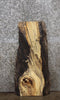 Thumbnail for Spalted Maple Live Edge Charcuterie Board/Taxidermy Slab 8353