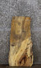 Thumbnail for Spalted Maple Live Edge Charcuterie Board/Taxidermy Slab 8353