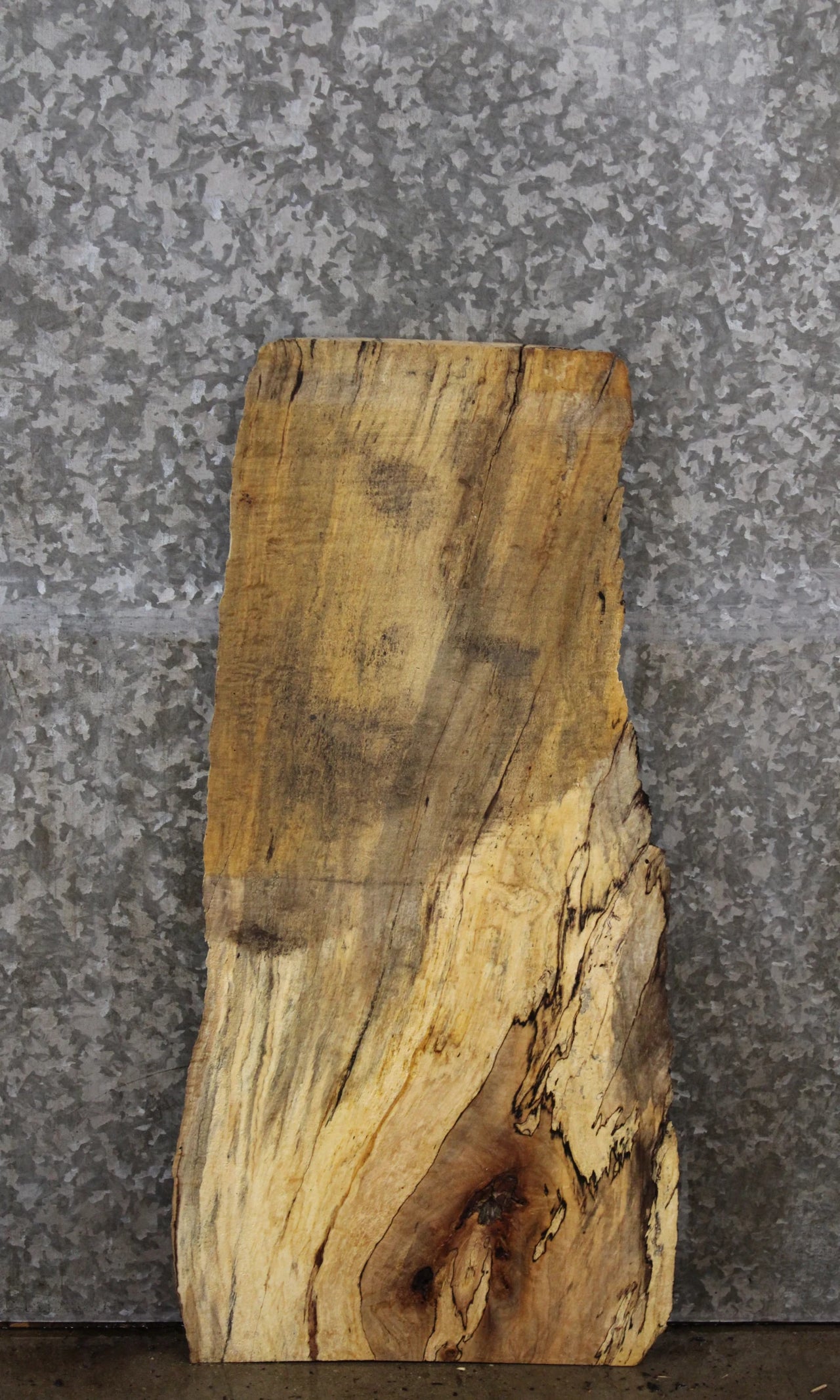Spalted Maple Live Edge Charcuterie Board/Taxidermy Slab 8353