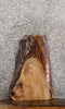 Thumbnail for Maple Natural Edge Charcuterie Board/Taxidermy Slab CLOSEOUT 8369