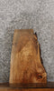 Thumbnail for Maple Natural Edge Charcuterie Board/Taxidermy Slab CLOSEOUT 8369