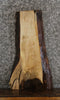Thumbnail for Maple Live Edge Side Table Top/Taxidermy Slab 8370