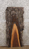 Thumbnail for Black Walnut Live Edge Charcuterie Board/Taxidermy Slab 1552