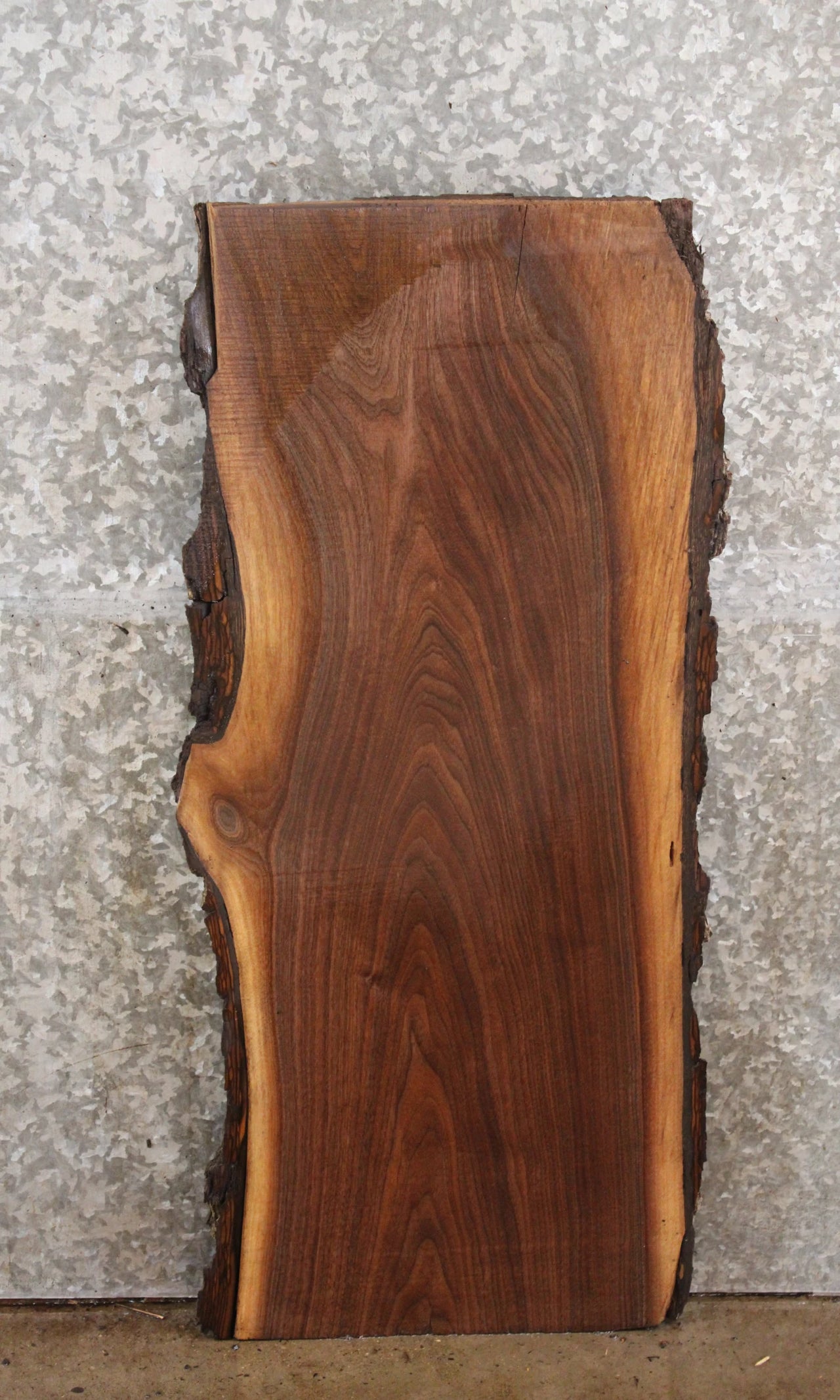 Black Walnut Live Edge Charcuterie Board/Taxidermy Slab 1552