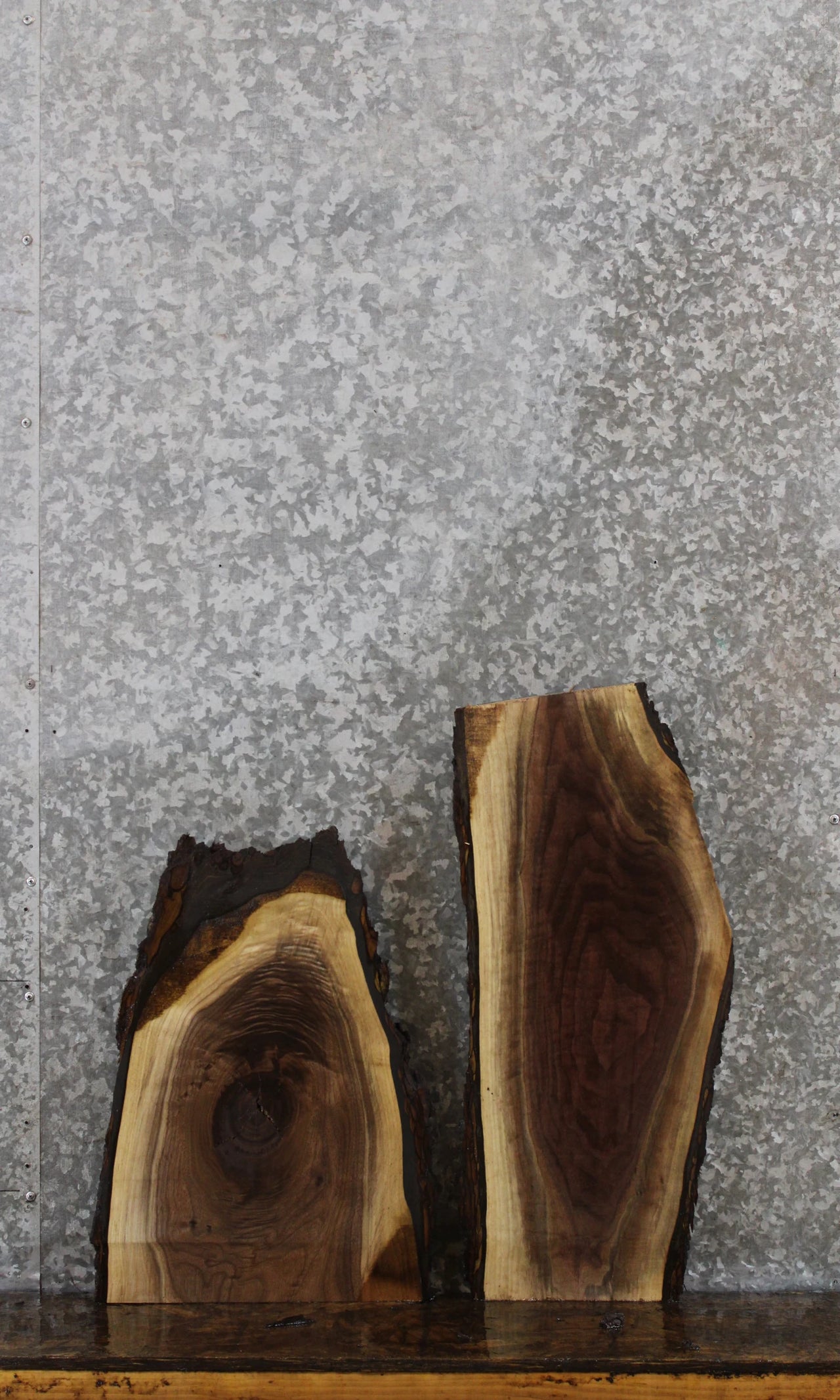 2- Black Walnut Live Edge Charcuterie Slab/Taxidermy Mount 8376-8377