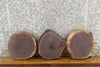 Thumbnail for 3- Round Cut Rustic Live Edge Black Walnut Craft Pack Wood Slabs 838-840
