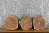 Thumbnail for 3- Round Cut Rustic Live Edge Black Walnut Craft Pack Wood Slabs 838-840