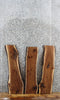 Thumbnail for 3- Walnut Live Edge Taxidermy/Charcuterie/Shelf Slabs 8380-8382
