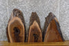 Thumbnail for 3- Salvaged Black Walnut Live Edge DIY Charcuterie Boards/Slabs 8387-8389