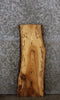 Thumbnail for Oak Live Edge Charcuterie Board/Taxidermy Slab 8393