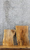 Thumbnail for 2- Spalted Maple Live Edge Charcuterie Boards/Taxidermy Slabs 8398-8399