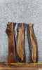 Thumbnail for 3- Live Edge Black Walnut Charcuterie/Taxidermy Slabs 8408-8410