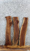Thumbnail for 3- Live Edge Black Walnut Charcuterie/Taxidermy Slabs 8408-8410