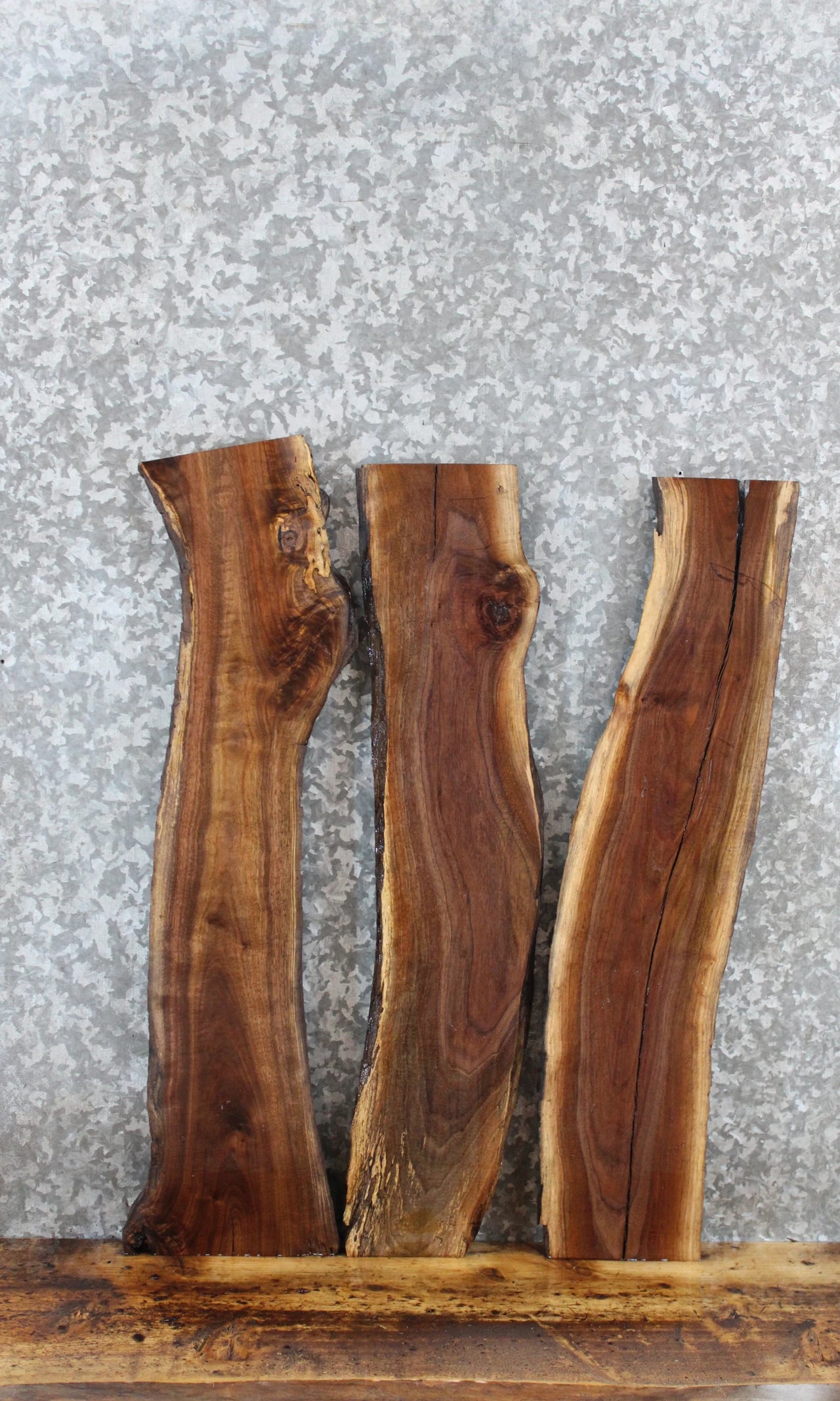 3- Live Edge Black Walnut Charcuterie/Taxidermy Slabs 8408-8410