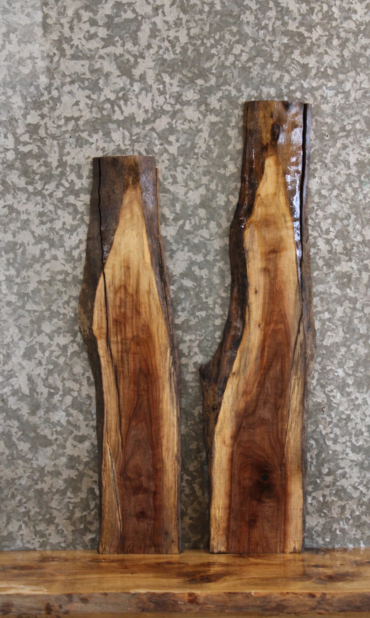 2- Black Walnut Live Edge Charcuterie Boards/Taxidermy Slabs 8411-8412