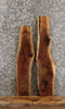 Thumbnail for 2- Black Walnut Live Edge Charcuterie Boards/Taxidermy Slabs 8411-8412