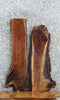 Thumbnail for 2- Live Edge Black Walnut Charcuterie Boards/Taxidermy Mounts 8425-8426