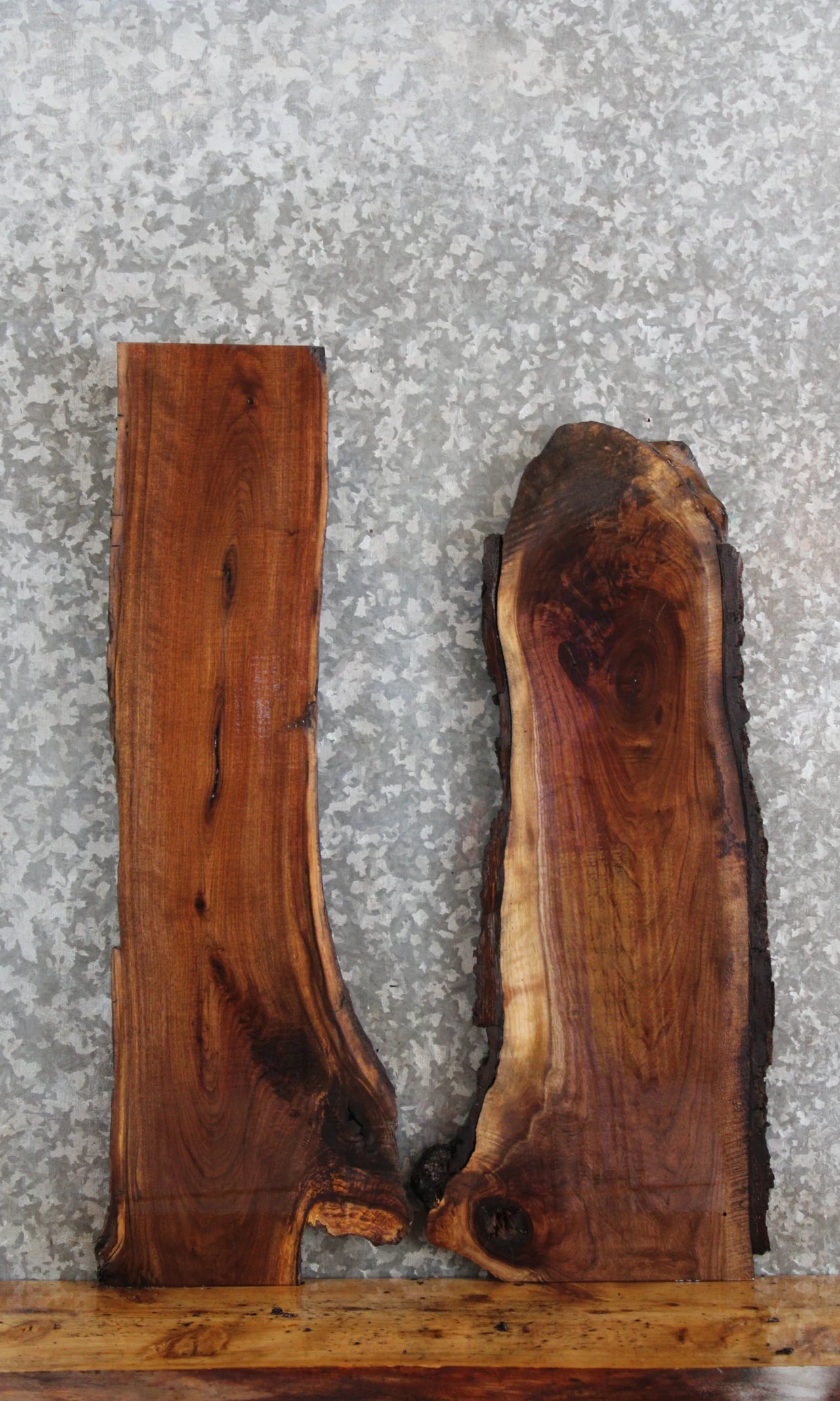 2- Live Edge Black Walnut Charcuterie Boards/Taxidermy Mounts 8425-8426