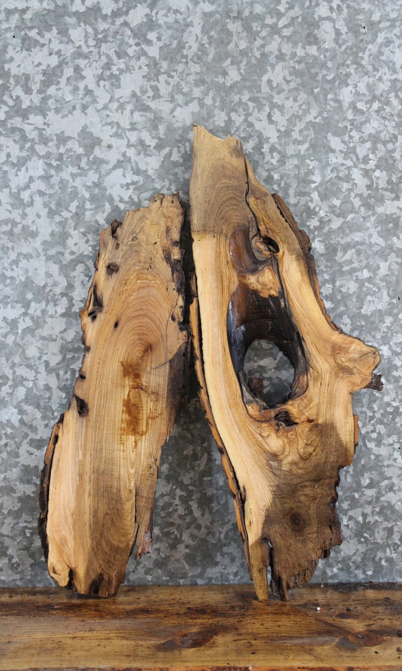 2- Live Edge White Oak Charcuterie Boards/Taxidermy Mounts 8429-8430