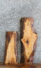 Thumbnail for 2- Live Edge Ash Side Table Top/Charcuterie Board Slabs 8433-8434