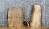 Thumbnail for 2- Live Edge Spalted Maple End Table Tops/Charcuterie Boards 847-848