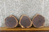 Thumbnail for 3- Natural Edge Round Cut Black Walnut Centerpiece Wood Slabs 849-851