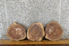 Thumbnail for 3- Natural Edge Round Cut Black Walnut Centerpiece Wood Slabs 849-851