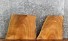 Thumbnail for 2- Live Edge Elm Charcuterie Boards/End Table Top Slabs 850-851