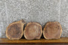 Thumbnail for 3- Live Edge Black Walnut Round Cut Display Stands/Craft Pack 855-857