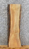 Thumbnail for Live Edge Salvaged Maple Taxidermy Mount/Accent Table Top Slab 8554