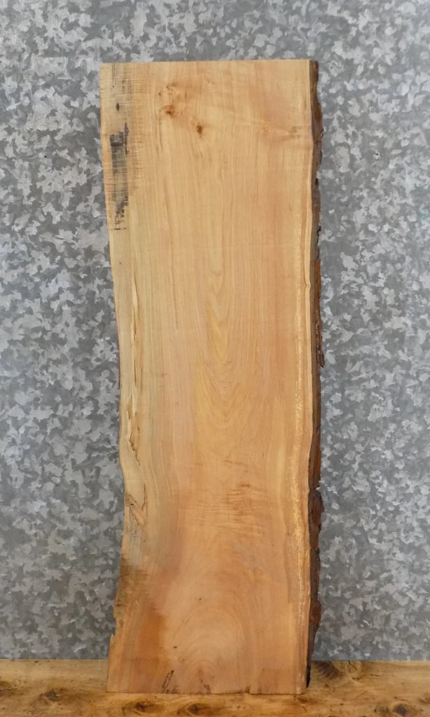 Live Edge Salvaged Maple Taxidermy Mount/Accent Table Top Slab 8554