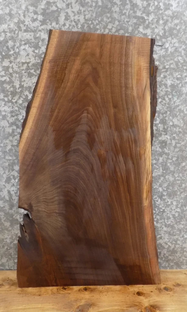 Live Edge Black Walnut Coffee/End/Accent Table Top Slab 8559