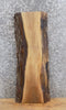 Thumbnail for Live Edge Black Walnut Mantel/Wall Shelf/Accent Table Top Slab 8560