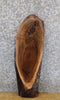 Thumbnail for Black Walnut Rustic Natural Edge Side/End Table Top Slab 8562