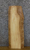 Thumbnail for Live Edge Rustic Ash Side/End/Entry Table Top Wood Slab 8564