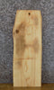 Thumbnail for Live Edge Rustic Ash Side/End/Entry Table Top Wood Slab 8564