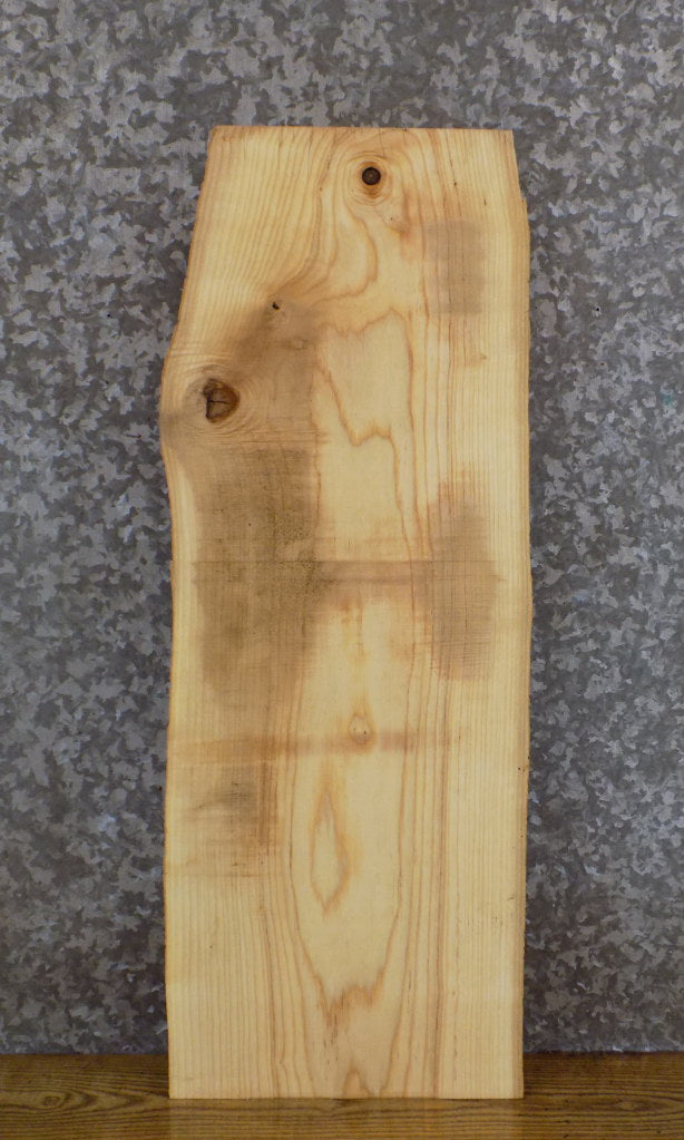 Live Edge Rustic Ash Side/End/Entry Table Top Wood Slab 8564