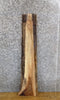 Thumbnail for Live Edge Rustic Black Walnut Entry/Side Table Top Wood Slab 8573