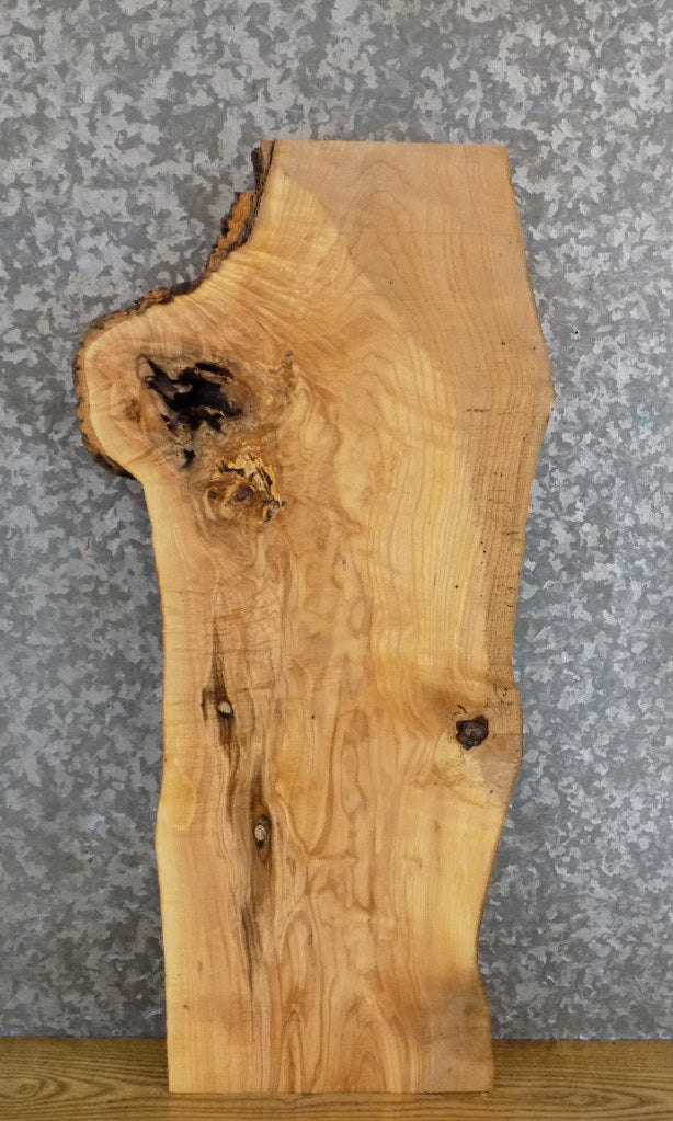 Ash Live Edge Rustic Side/Entry/Accent Table Top Slab 8577