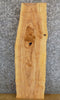 Thumbnail for Ash Live Edge Salvaged Sofa/Side/Accent Table Top Slab 8578