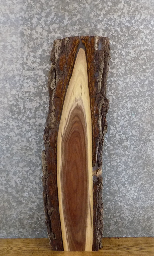 Live Edge Bark Black Walnut Rustic Sofa Table Top Slab 8590