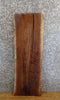 Thumbnail for Black Walnut Live Edge Rustic Sofa/Coffee Table Top Slab 8609