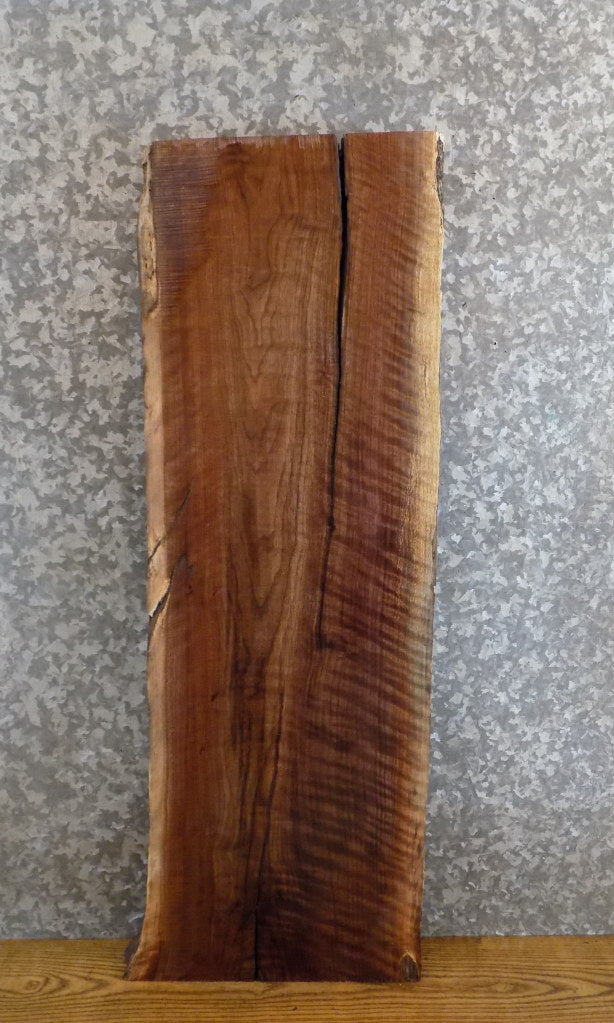 Black Walnut Live Edge Rustic Sofa/Coffee Table Top Slab 8609