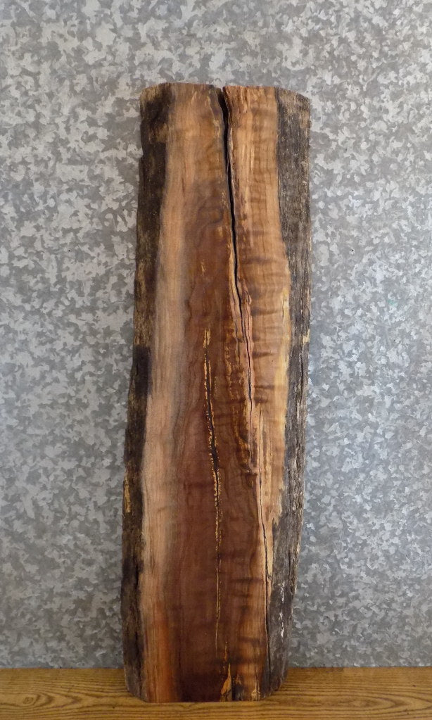 Natural Edge Salvaged Black Walnut Coffee/Sofa Table Top Slab 8612