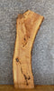 Thumbnail for Natural Edge Bark Ash Rustic Accent/Side Table Top Slab 8629