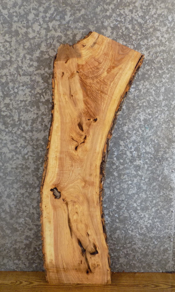 Natural Edge Bark Ash Rustic Accent/Side Table Top Slab 8629