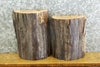 Thumbnail for 2- Salvaged Natural Edge Bark Hickory Craft Pack/Small Log Slabs 8788-8789