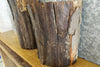 Thumbnail for 2- Salvaged Natural Edge Bark Hickory Craft Pack/Small Log Slabs 8788-8789